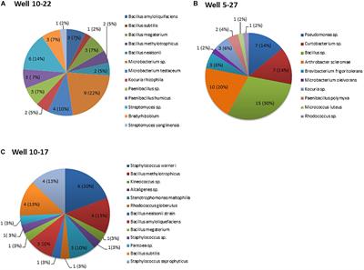 Isolation and Characterization of Biosurfactant-Producing Bacteria From Oil Well Batteries With Antimicrobial Activities Against Food-Borne and Plant Pathogens